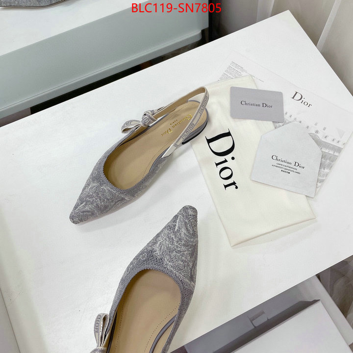 Women Shoes-Dior,the top ultimate knockoff , ID: SN7805,$: 119USD