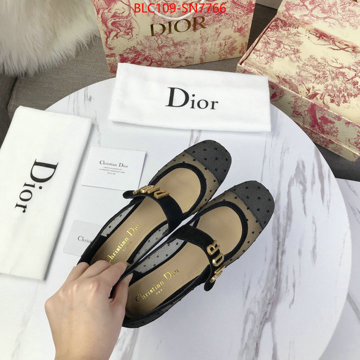 Women Shoes-Dior,what is aaaaa quality , ID: SN7766,$: 109USD