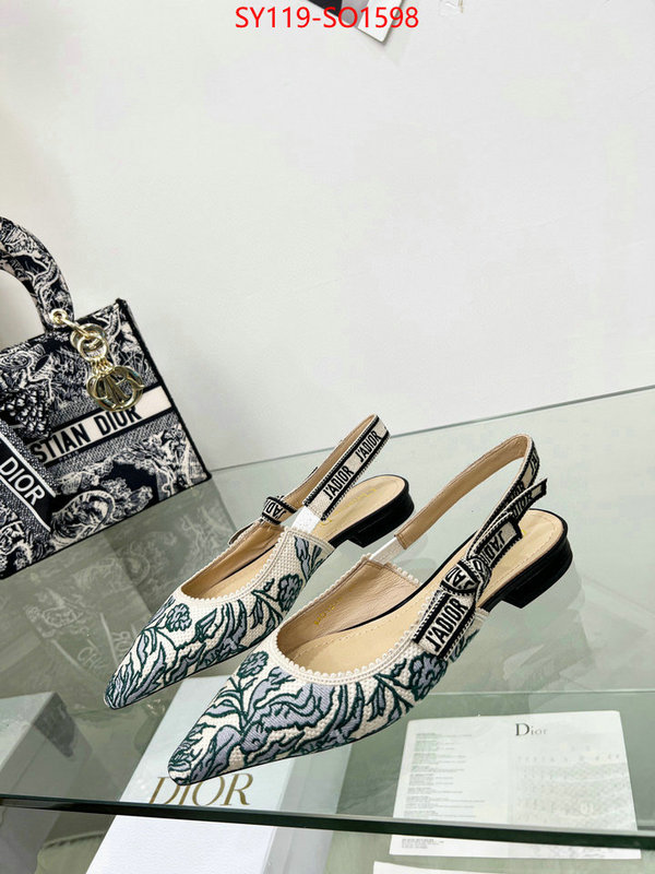 Women Shoes-Dior,best luxury replica , ID: SO1598,$: 119USD