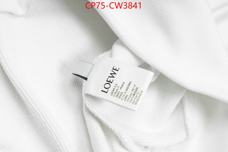 Clothing-Loewe,the most popular , ID: CW3841,$: 75USD