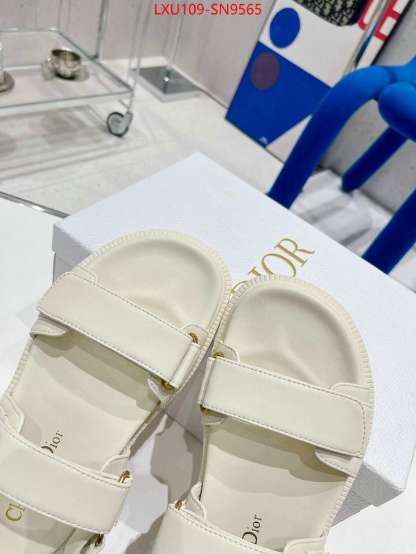 Women Shoes-Dior,perfect quality designer replica , ID: SN9565,$: 109USD