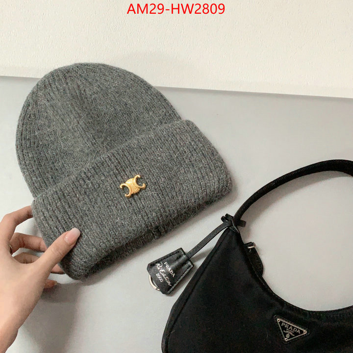 Cap (Hat)-Celine,top grade , ID: HW2809,$: 29USD