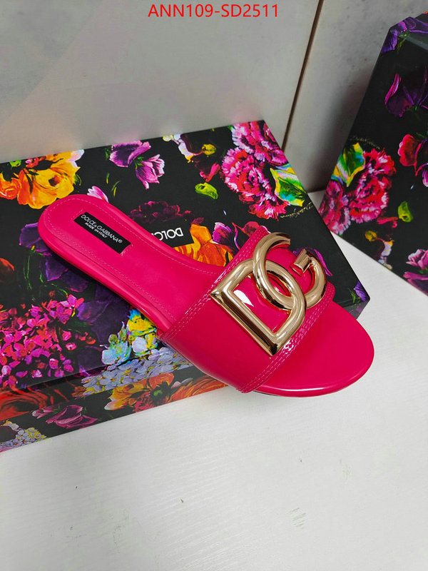 Women Shoes-DG,1:1 replica wholesale , ID: SD2511,$: 109USD