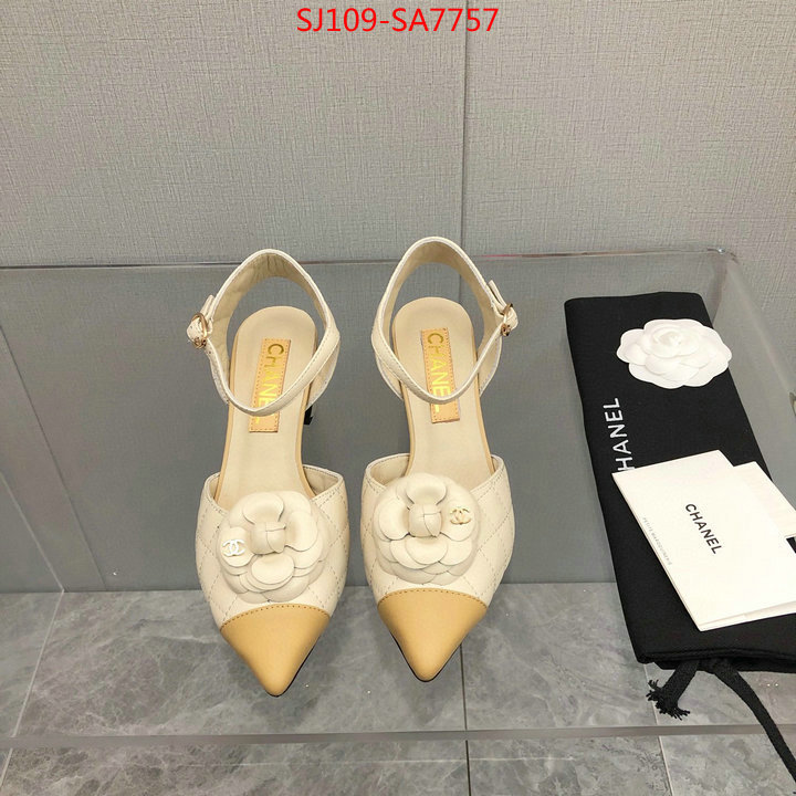 Women Shoes-Chanel,shop , ID: SA7757,$: 109USD