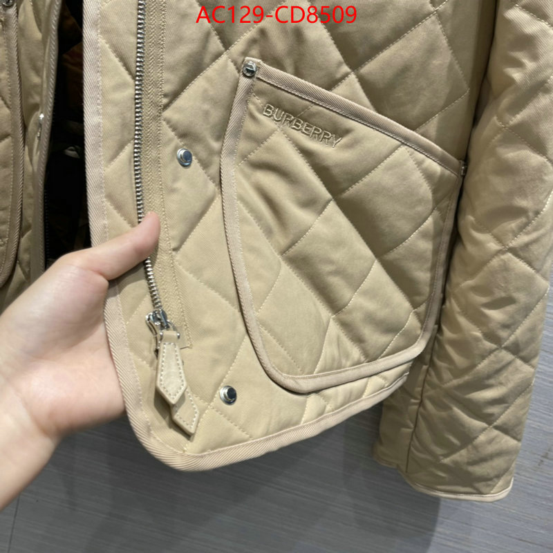 Down jacket Women-Burberry,high-end designer , ID: CD8509,$: 129USD