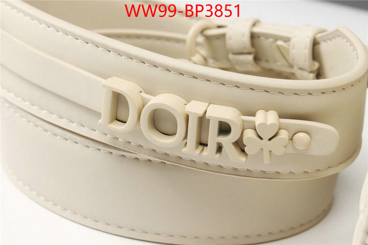 Dior Bags(4A)-Lady-,ID: BP3851,$: 99USD