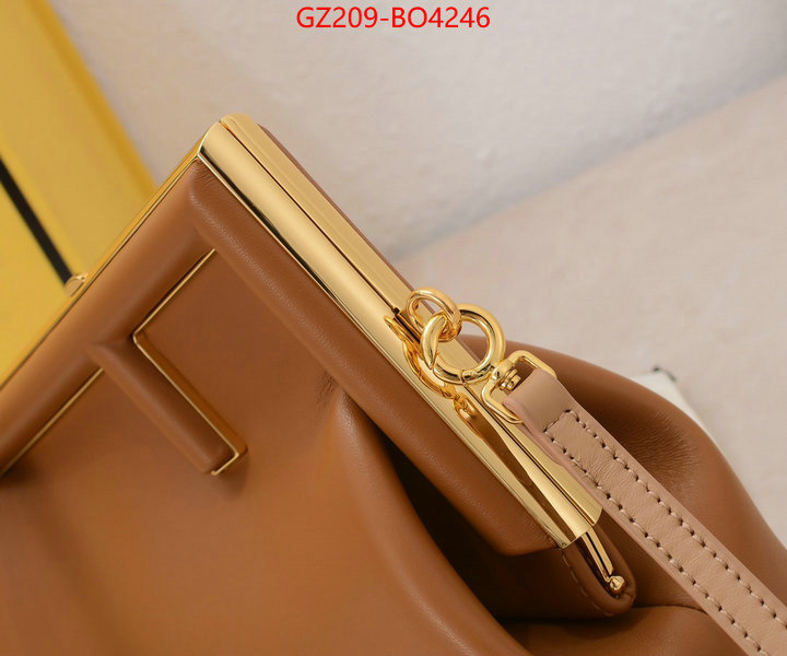 Fendi Bags(TOP)-First Series,most desired ,ID: BO4246,$: 209USD