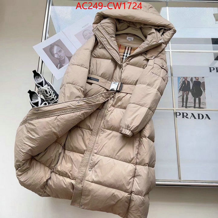 Down jacket Women-Burberry,the best quality replica , ID: CW1724,$: 249USD