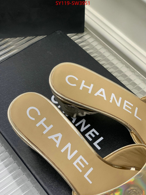 Women Shoes-Chanel,best site for replica , ID: SW3951,$: 119USD