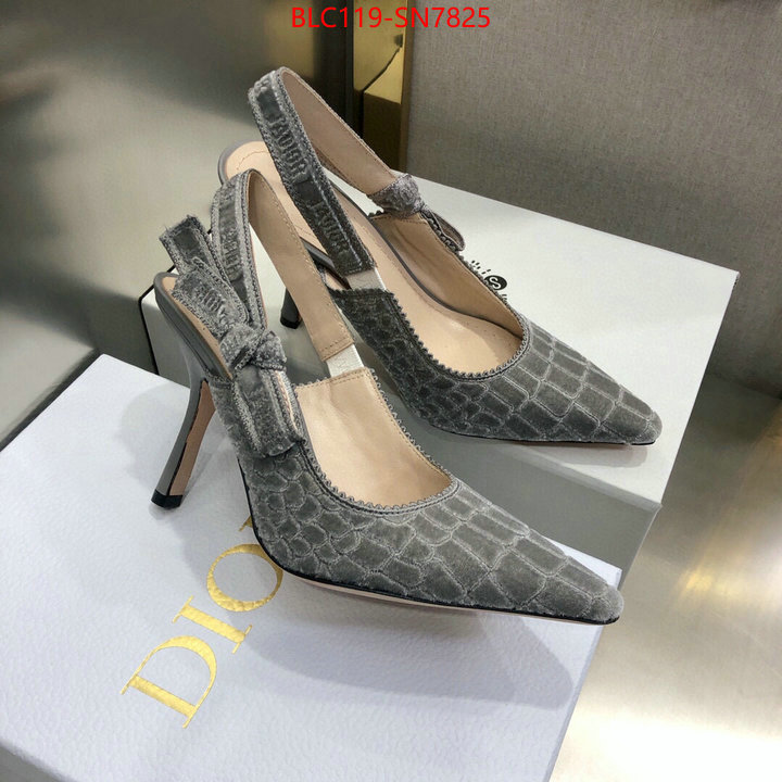 Women Shoes-Dior,buy 1:1 , ID: SN7825,$: 119USD