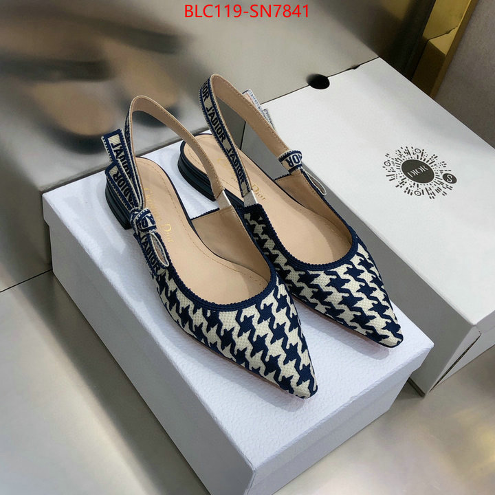 Women Shoes-Dior,outlet 1:1 replica , ID: SN7841,$: 119USD