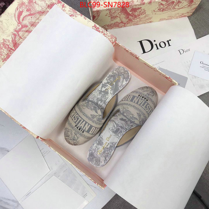 Women Shoes-Dior,1:1 replica wholesale , ID: SN7828,$: 99USD