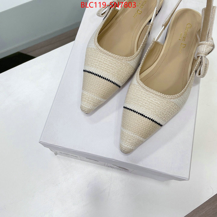 Women Shoes-Dior,replica designer , ID: SN7803,$: 119USD