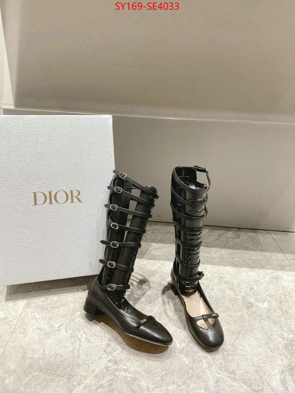 Women Shoes-Dior,top quality replica , ID: SE4033,$: 169USD