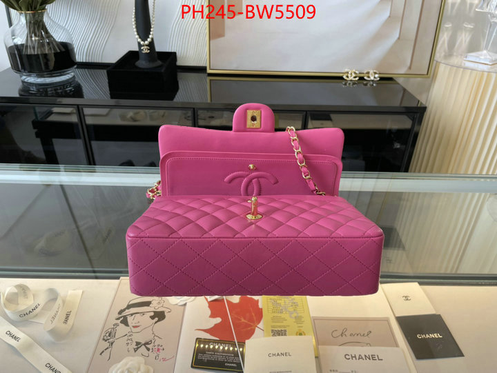 Chanel Bags(TOP)-Diagonal-,ID: BW5509,$: 245USD