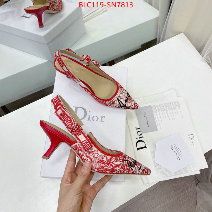 Women Shoes-Dior,designer wholesale replica , ID: SN7813,$: 119USD