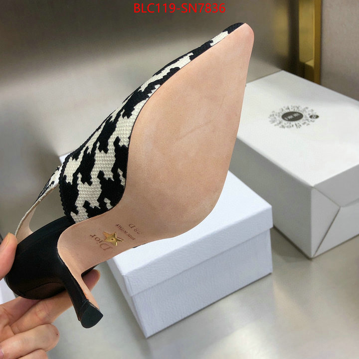 Women Shoes-Dior,what's the best to buy replica , ID: SN7836,$: 119USD