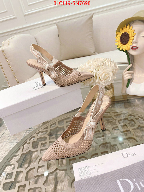 Women Shoes-Dior,how to buy replcia , ID: SN7698,$: 119USD