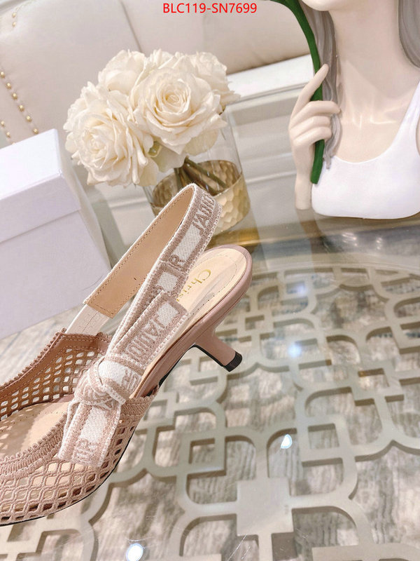 Women Shoes-Dior,buy replica , ID: SN7699,$: 119USD