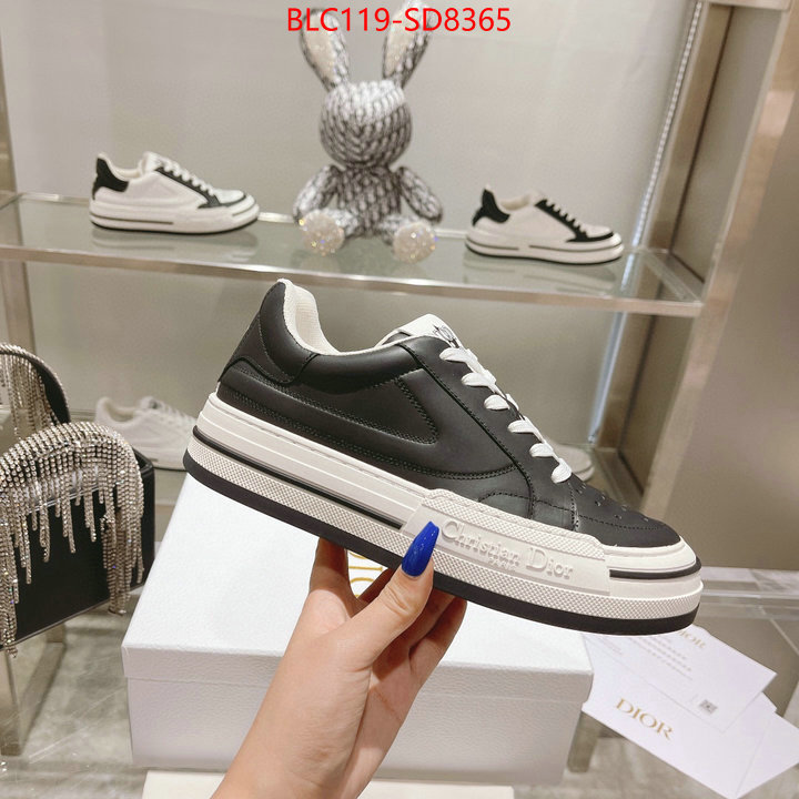 Women Shoes-Dior,buy high quality fake , ID: SD8365,$: 119USD