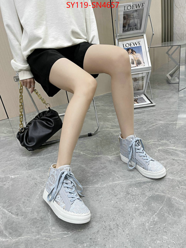 Women Shoes-Chloe,designer fake , ID: SN4657,$: 119USD