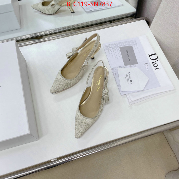 Women Shoes-Dior,replicas , ID: SN7837,$: 119USD