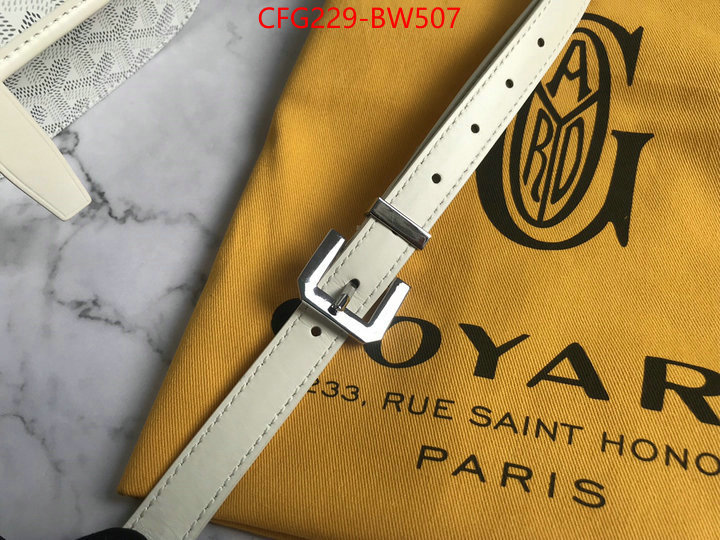 Goyard Bags(TOP)-Diagonal-,ID: BW507,$: 229USD