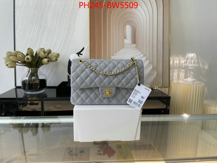 Chanel Bags(TOP)-Diagonal-,ID: BW5509,$: 245USD