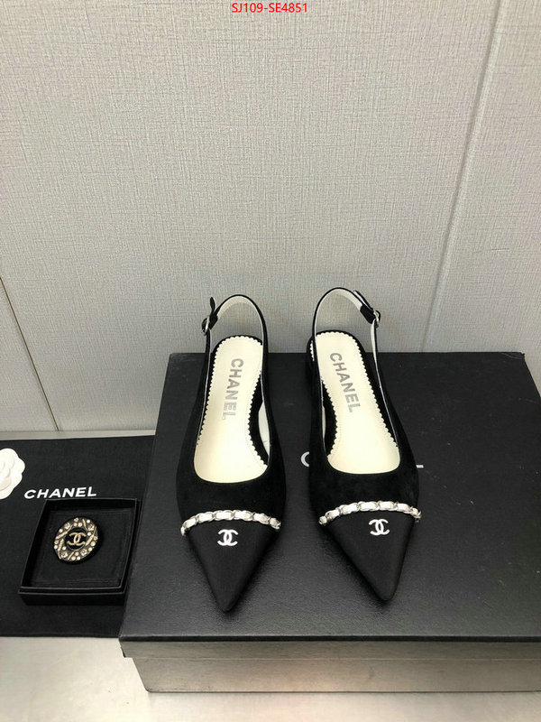 Women Shoes-Chanel,can you buy knockoff , ID: SE4851,$: 109USD