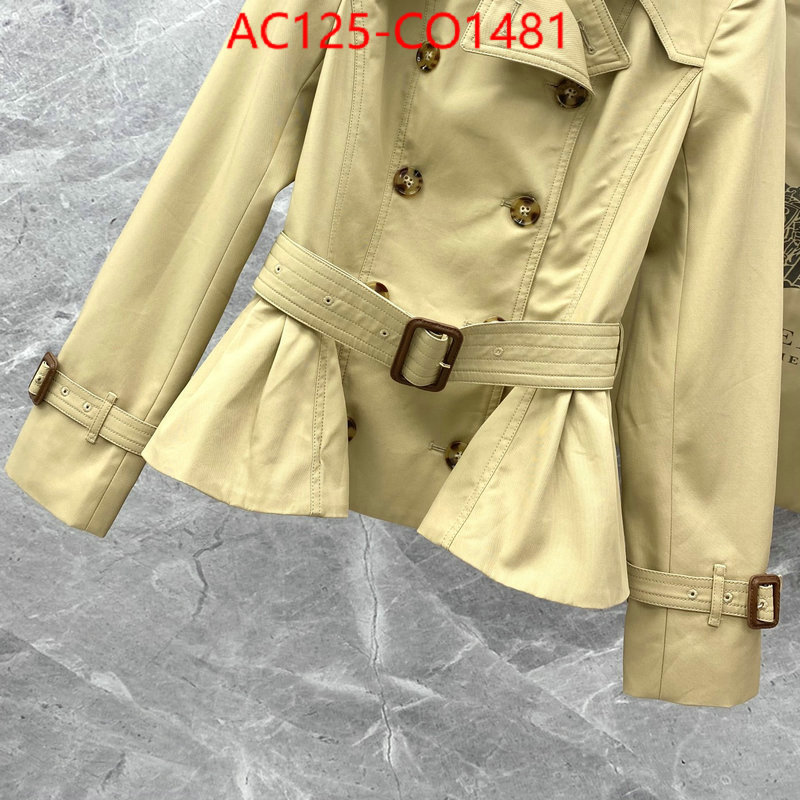Down jacket Women-Burberry,designer , ID: CO1481,$: 125USD