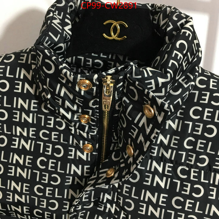 Down jacket Women-Celine,what best designer replicas , ID: CW2891,$: 99USD