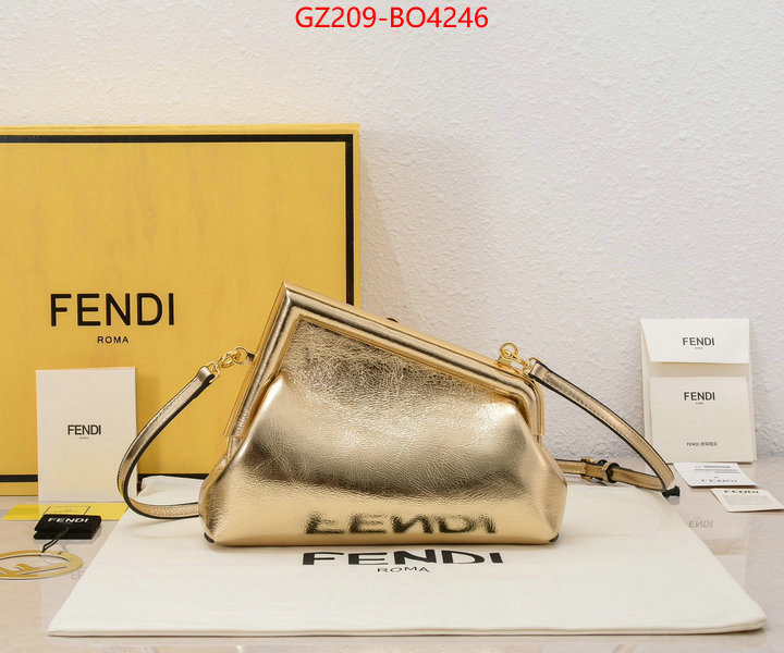 Fendi Bags(TOP)-First Series,most desired ,ID: BO4246,$: 209USD