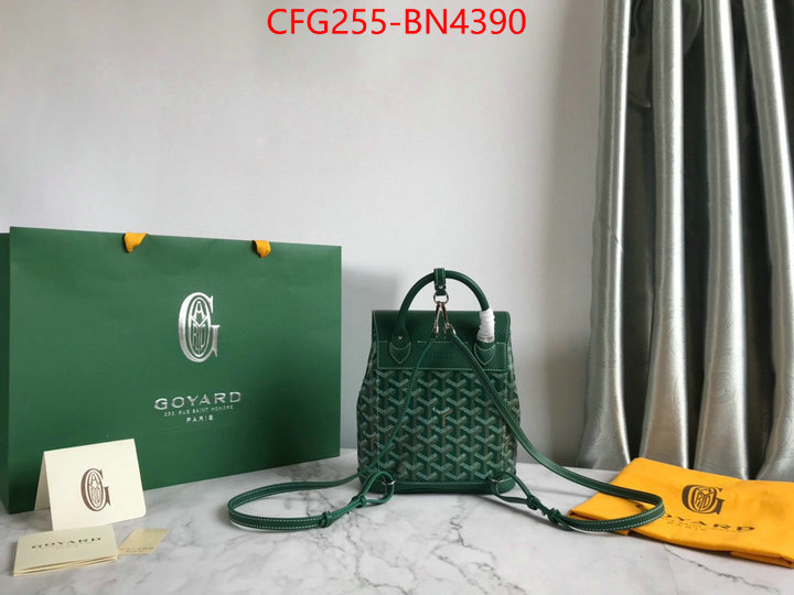 Goyard Bags(TOP)-Backpack-,ID: BN4390,$: 255USD