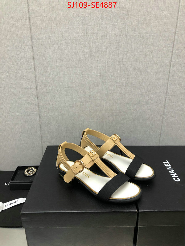 Women Shoes-Chanel,store , ID: SE4887,$: 109USD