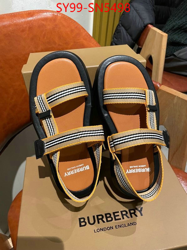 Women Shoes-Burberry,designer 7 star replica , ID: SN5498,$: 99USD