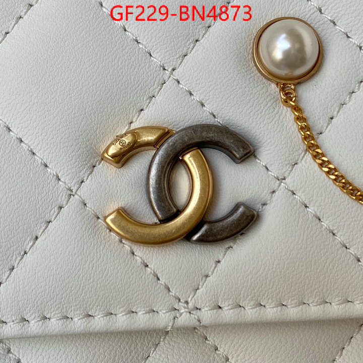 Chanel Bags(TOP)-Diagonal-,ID: BN4873,$: 229USD