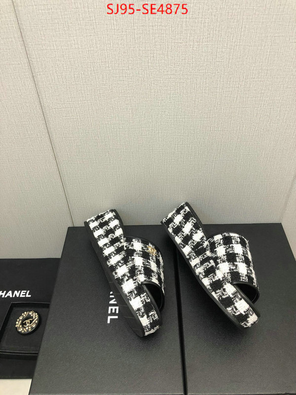 Women Shoes-Chanel,replica us , ID: SE4875,$: 95USD