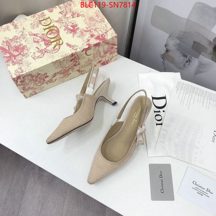 Women Shoes-Dior,how to find replica shop , ID: SN7814,$: 119USD