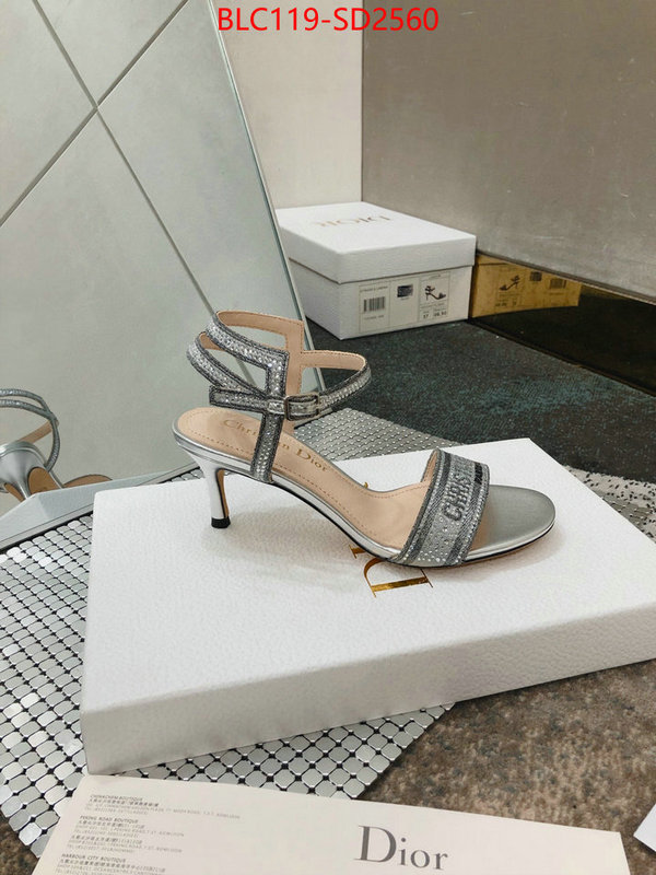 Women Shoes-Dior,replica 2023 perfect luxury , ID: SD2560,$: 119USD