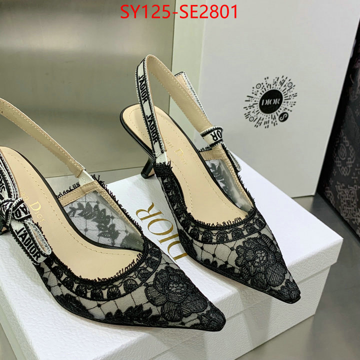 Women Shoes-Dior,the quality replica , ID: SE2801,$: 125USD