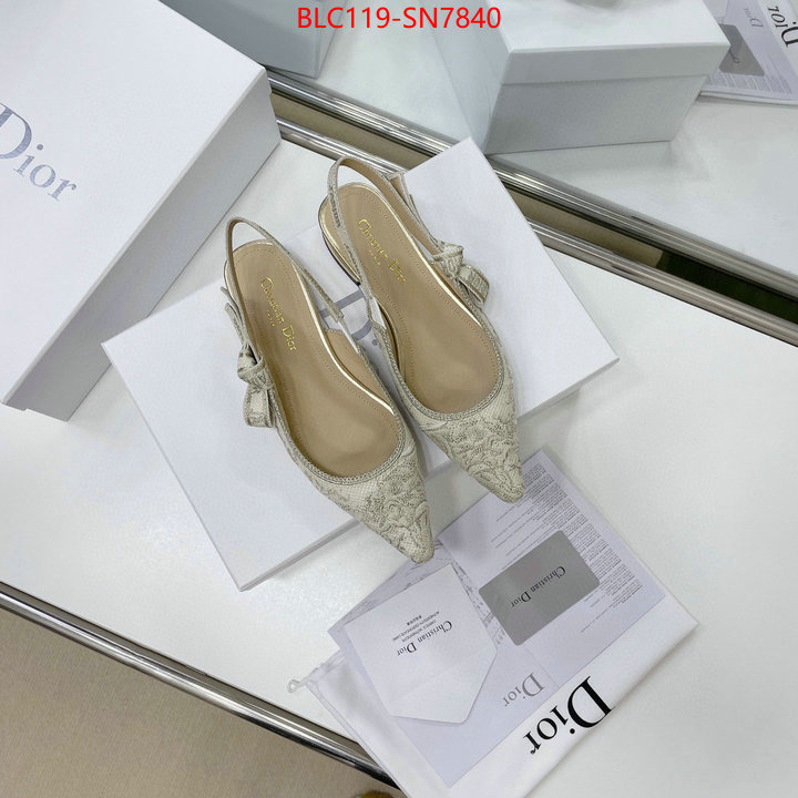 Women Shoes-Dior,replica designer , ID: SN7840,$: 119USD