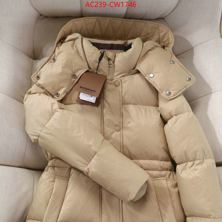 Down jacket Women-Burberry,where to buy , ID: CW1746,$: 239USD