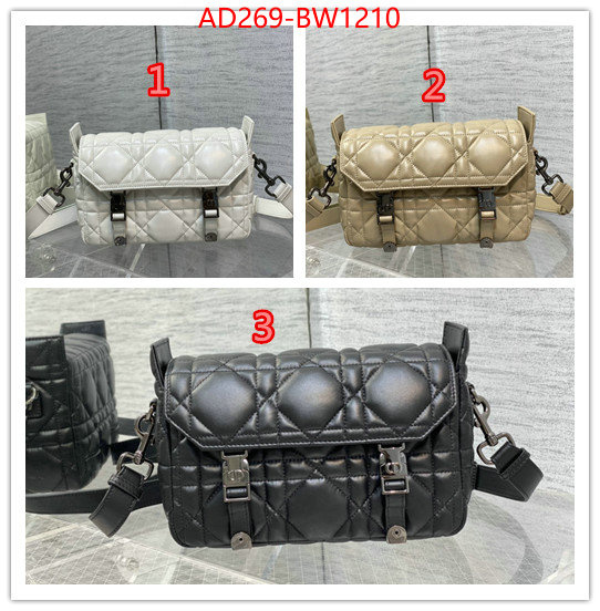 Dior Bags(TOP)-Other Style-,ID: BW1210,$: 269USD