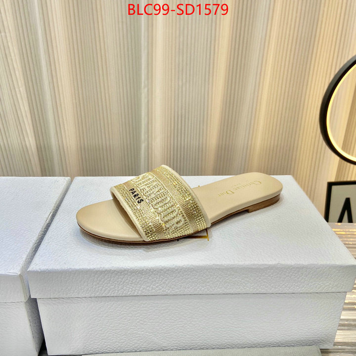 Women Shoes-Dior,buy aaaaa cheap , ID: SD1579,$: 99USD