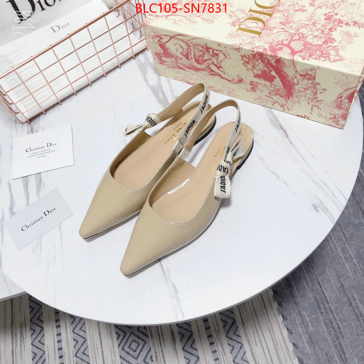 Women Shoes-Dior,aaaaa customize , ID: SN7831,$: 105USD