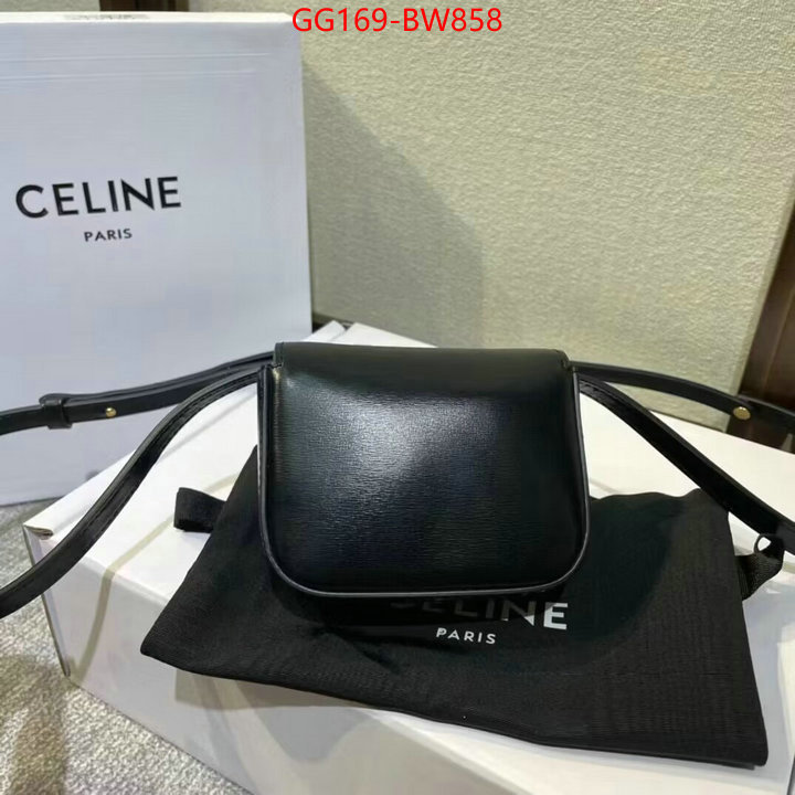 CELINE Bags(TOP)-Triomphe Series,what best designer replicas ,ID: BW858,$: 169USD