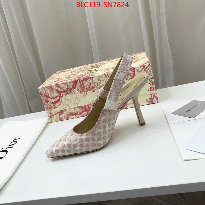 Women Shoes-Dior,online from china designer , ID: SN7824,$: 119USD