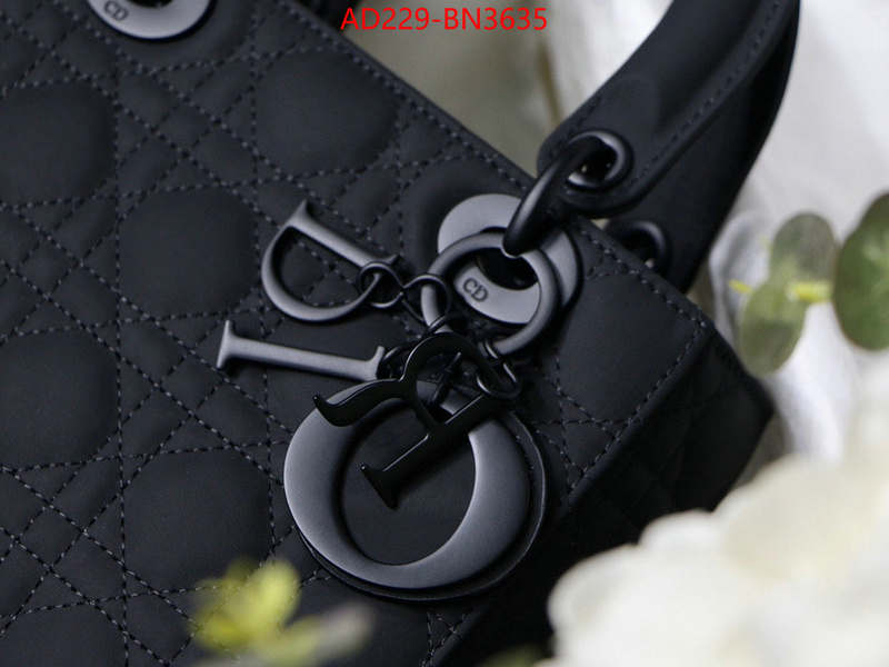 Dior Bags(TOP)-Lady-,ID: BN3635,$: 229USD