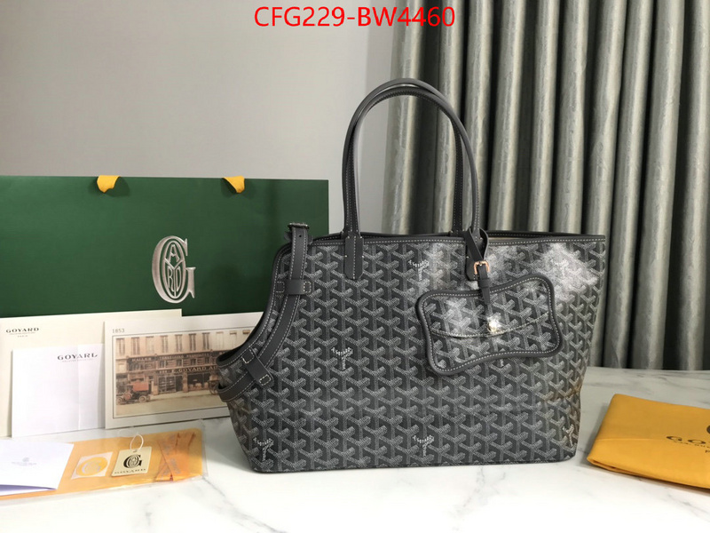 Goyard Bags(TOP)-Handbag-,ID: BW4460,$: 229USD