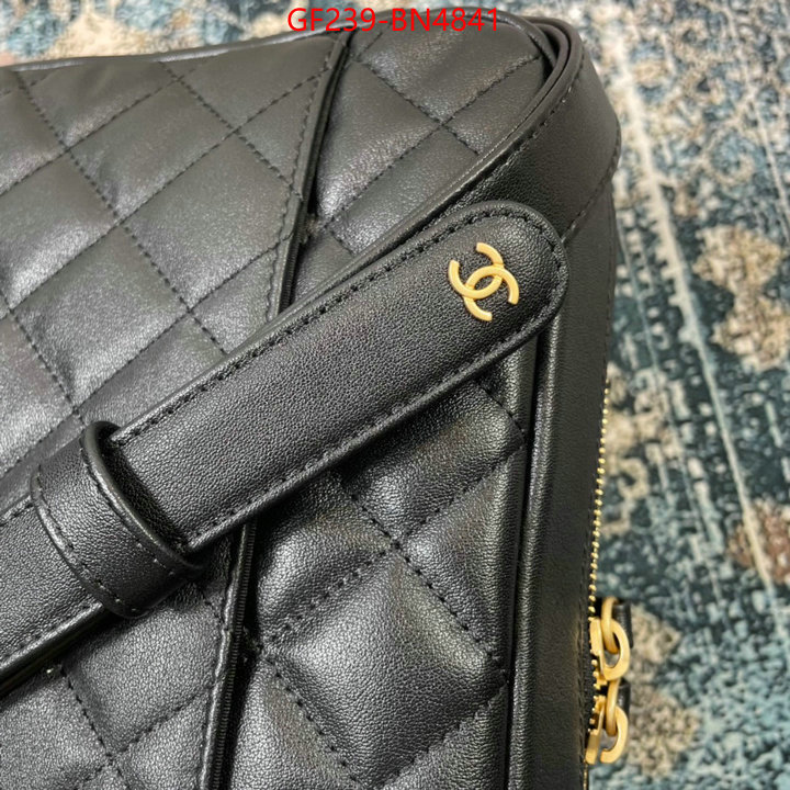 Chanel Bags(TOP)-Diagonal-,ID: BN4841,$: 239USD